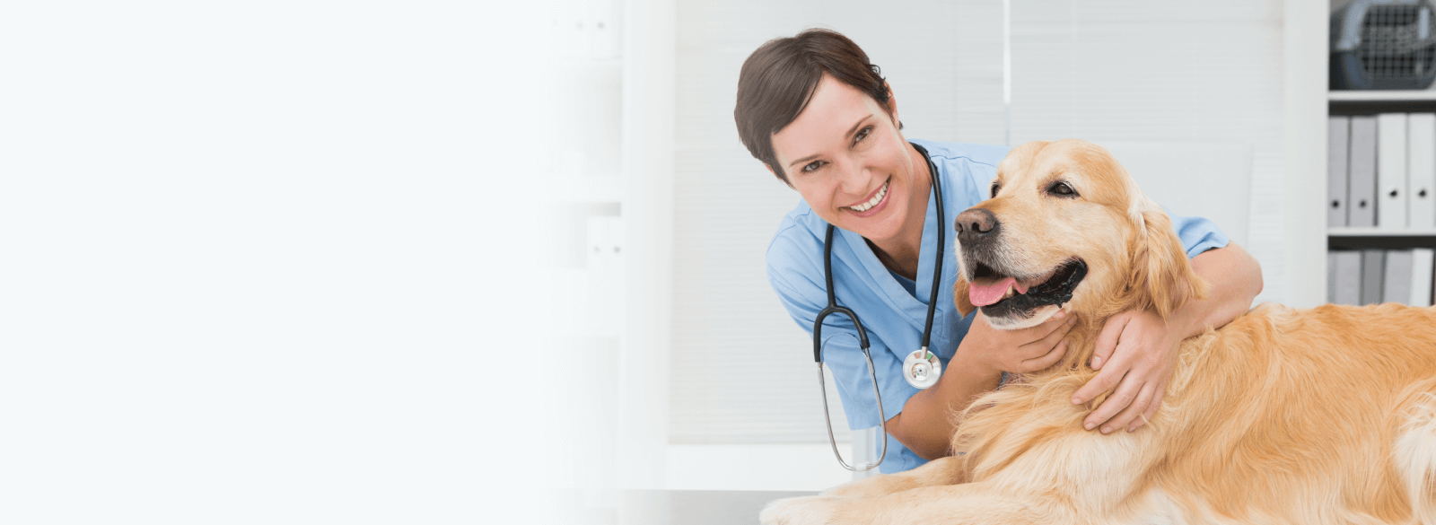 Doctor with dog